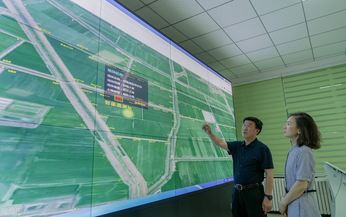 低价黑马龙头股,分享一只低位潜力黑马股附分析