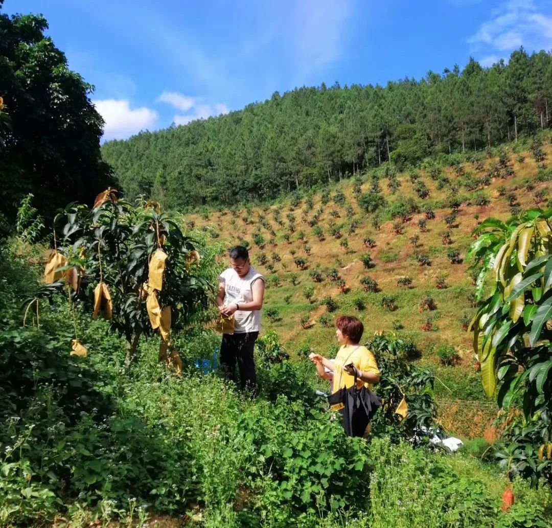 深山创业赚钱方法,深山老林创业项目