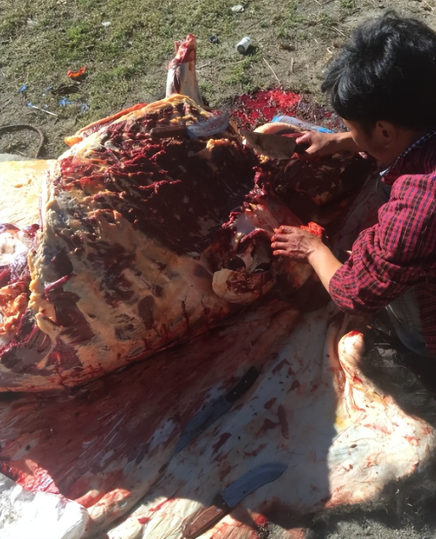 正宗风干牦牛肉多少一斤,正宗风干牦牛肉多少钱一斤