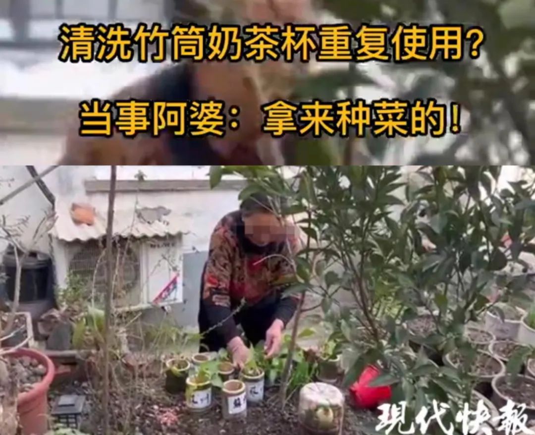 新晋网红竹筒奶茶为什么爆火,竹筒奶茶火了但没人想喝第二次