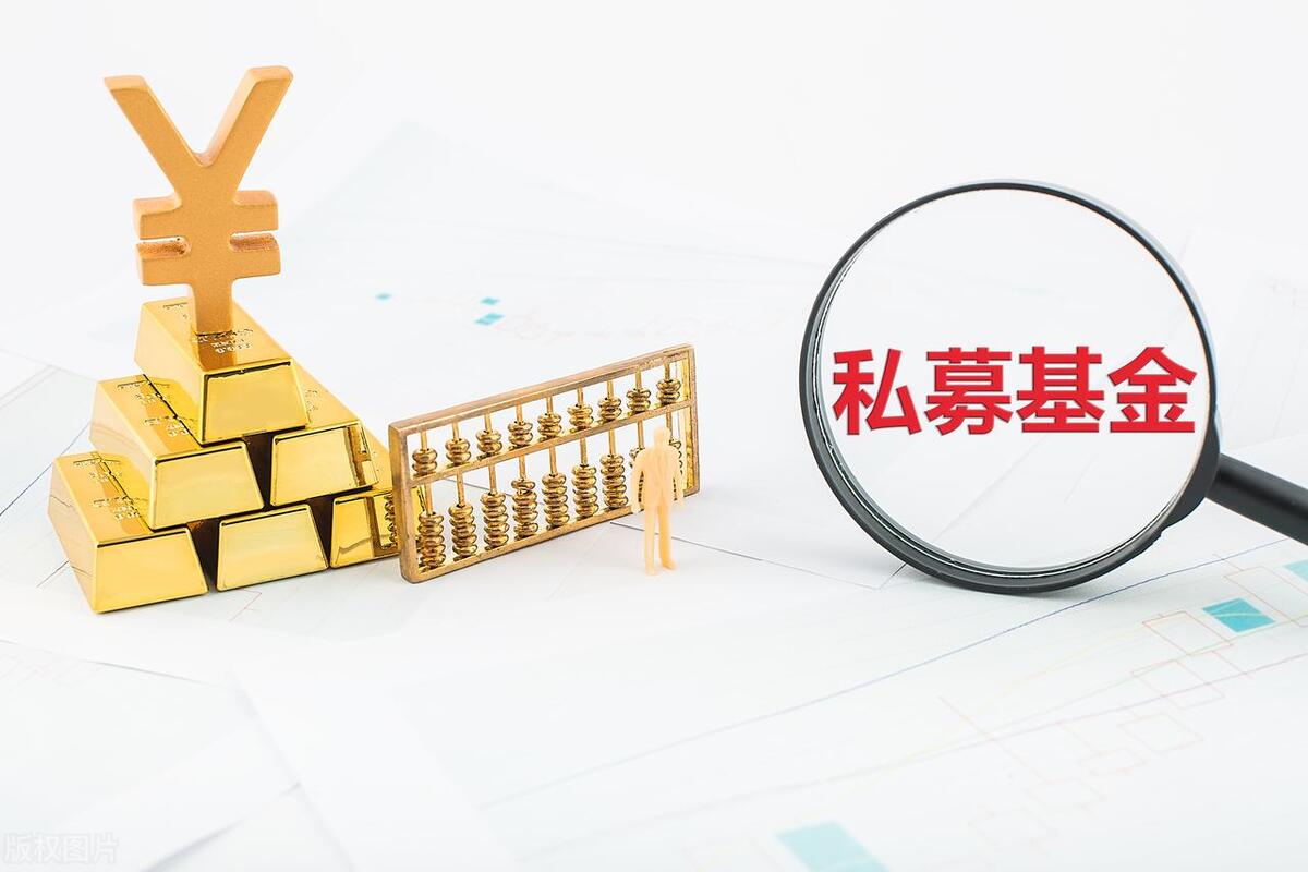 重庆私募基金排名前十,美国私募基金前十规模