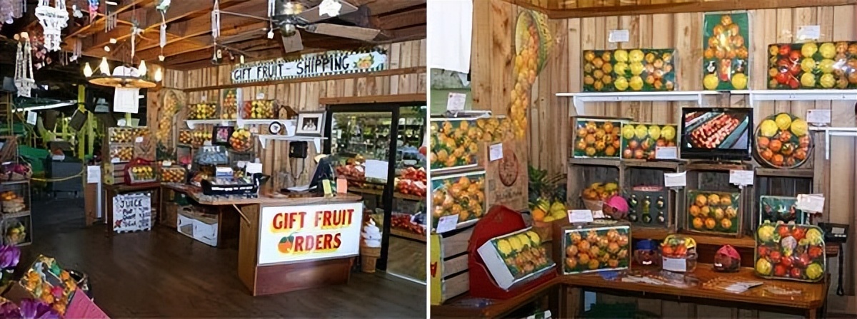 种植型家庭农场经营模式,新农田柑橘种植家庭农场