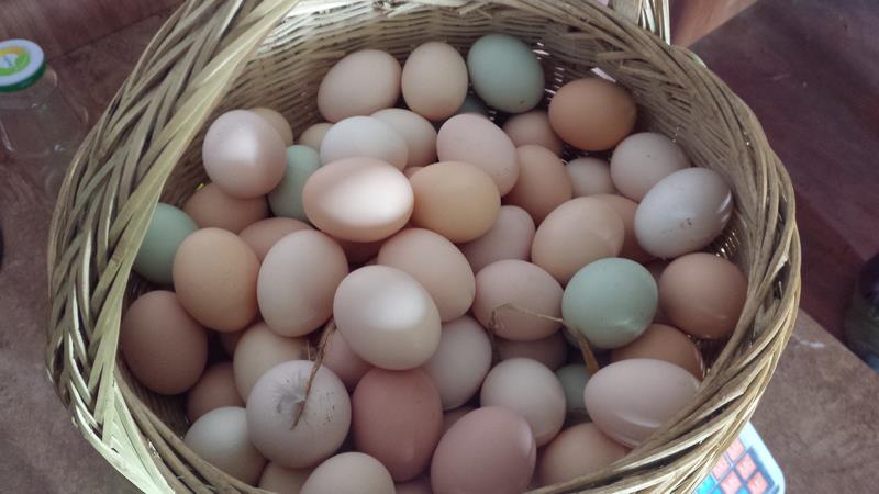 农村大集上这几种东西最好别买,农村大集买的东西是真的吗