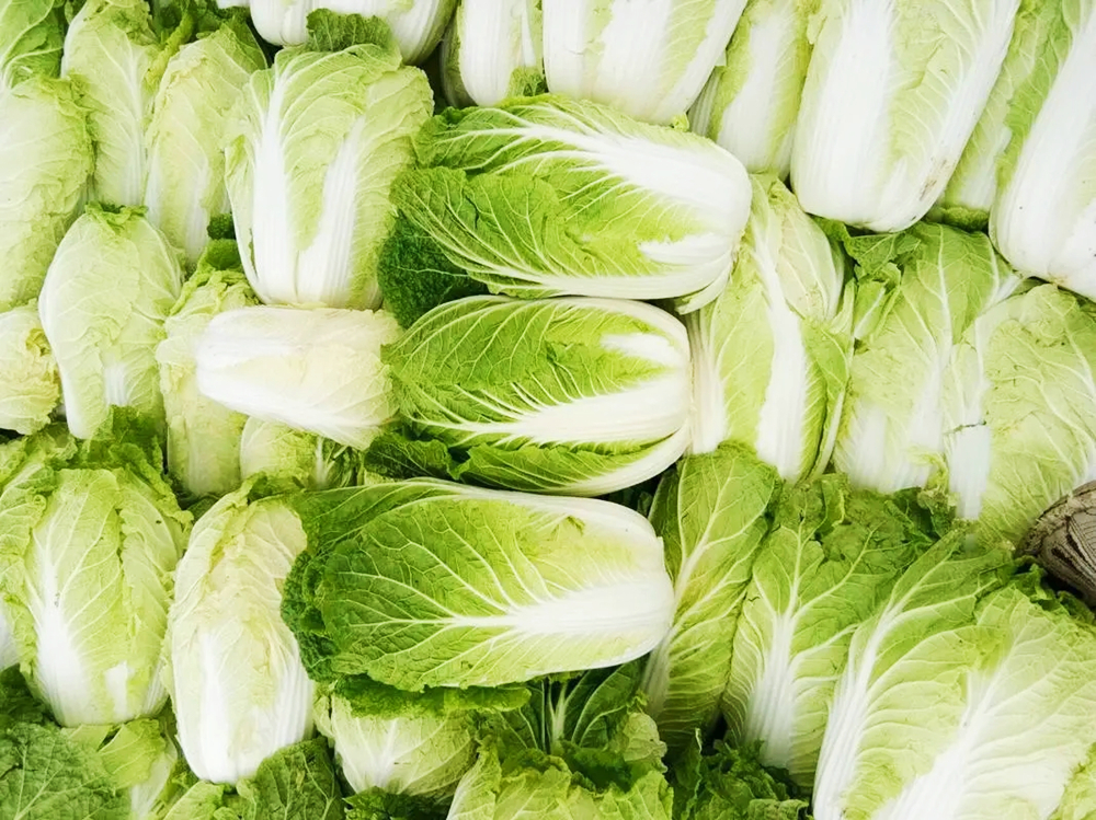 买白菜还是有一定的技巧,买白菜黄叶和绿叶哪个好