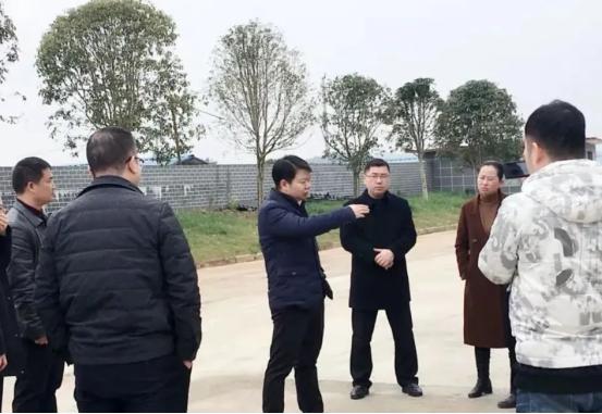 盛大金禧携手芷民丰助推乡村振兴高质量发展