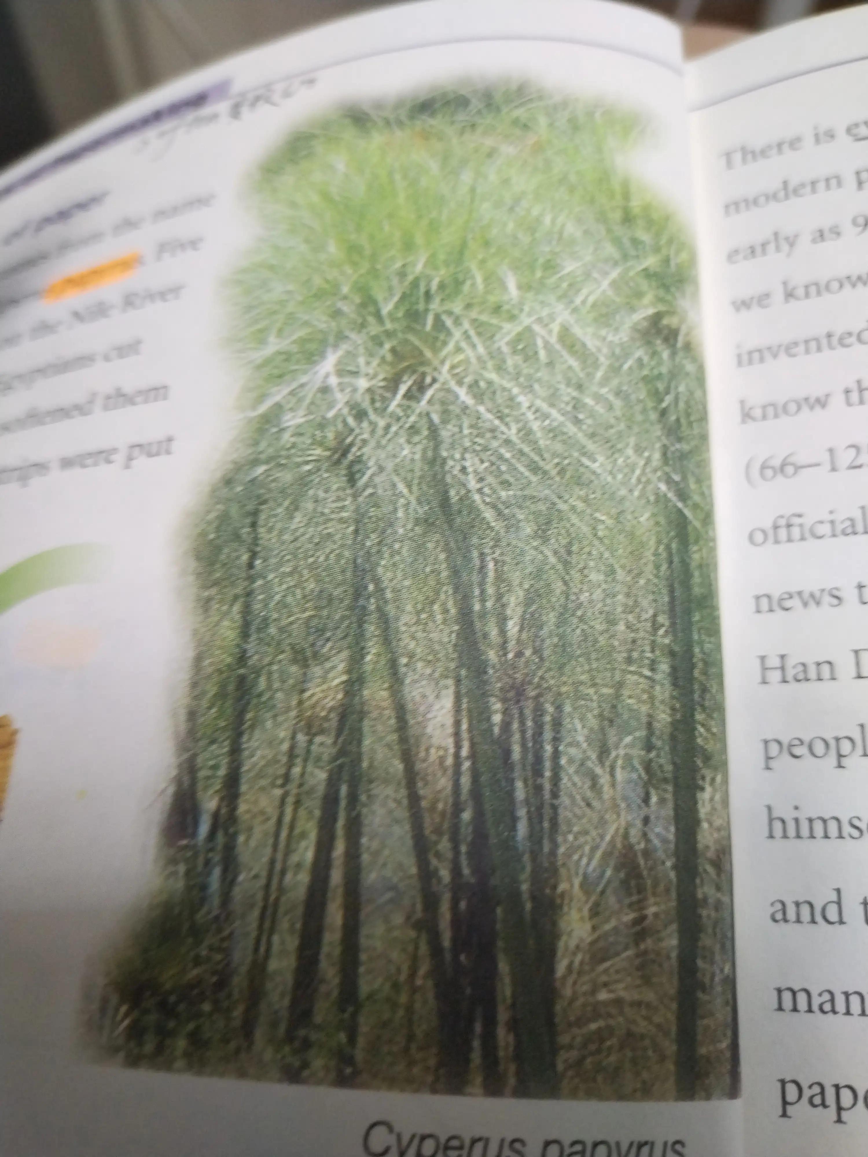 外国人眼中的中国文化和精神,外国人心中中国历史