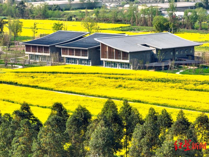 成都环城绿道规划图最新图,成都金牛区环城生态带最新规划