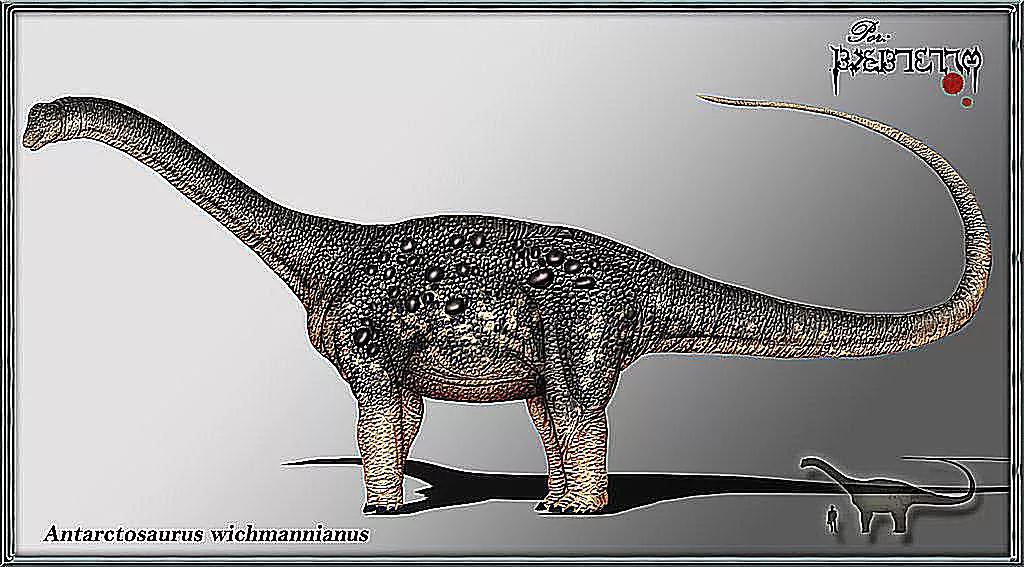 恐龙时代泰坦巨龙与雷龙,泰坦巨龙恐龙化石