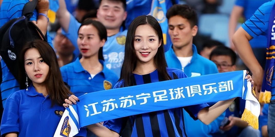 分析苏宁为何成亏损王,苏宁多元化