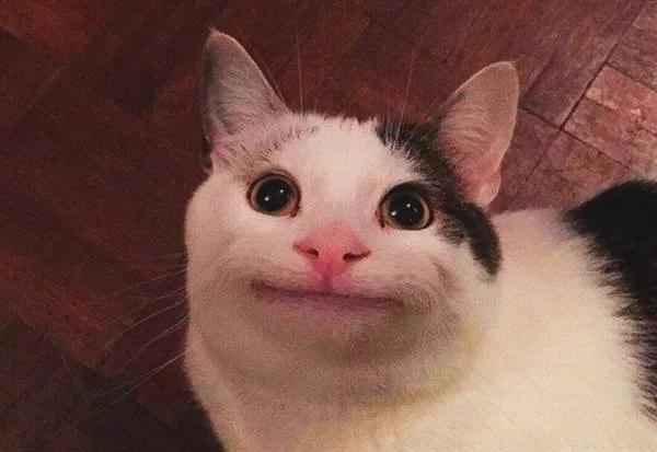 疫情封闭与解封,疫情期间网络相亲怎么样