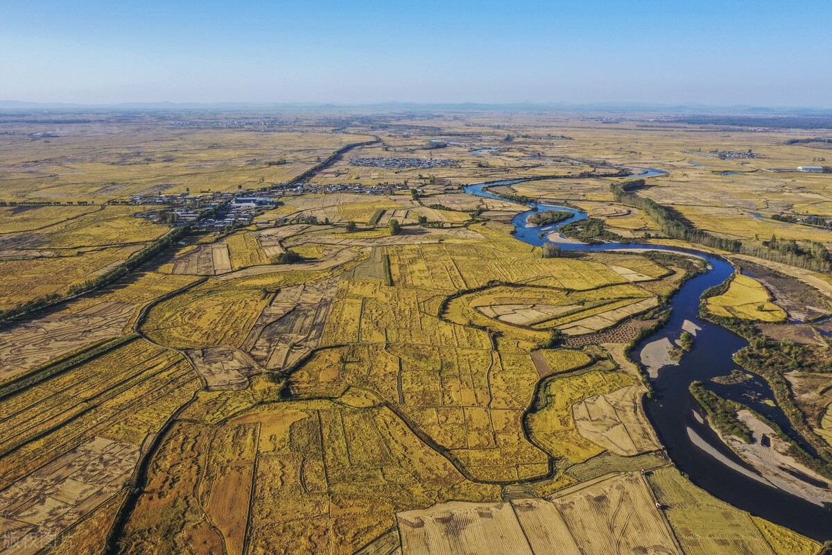 黑龙江五常响水大米,黑龙江五常大米口碑最好的米