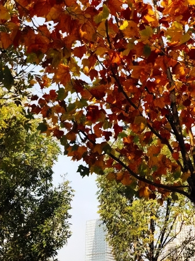 国庆津城旅游攻略,国庆天津金海湖打卡攻略