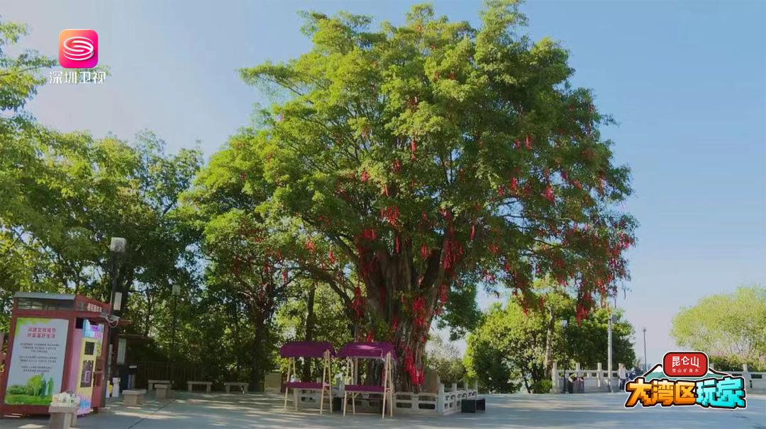 杩欏氨鏄湡姝ｇ殑鎯犲窞,鍒棶浜嗘槸鐪熺殑