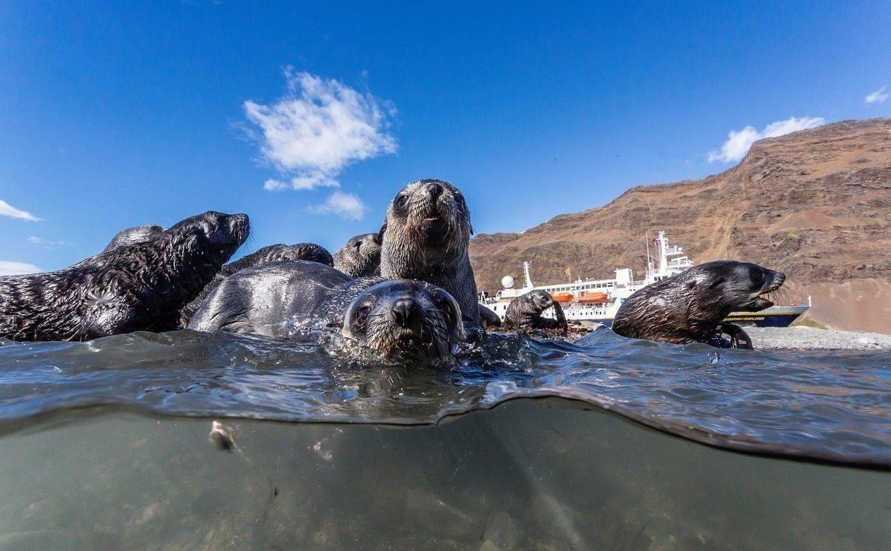 法国出售中国的岛屿是什么岛,法国小岛出售