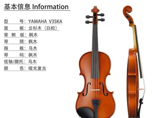 性价比高的小提琴推荐品牌,公认性价比高的小提琴弦