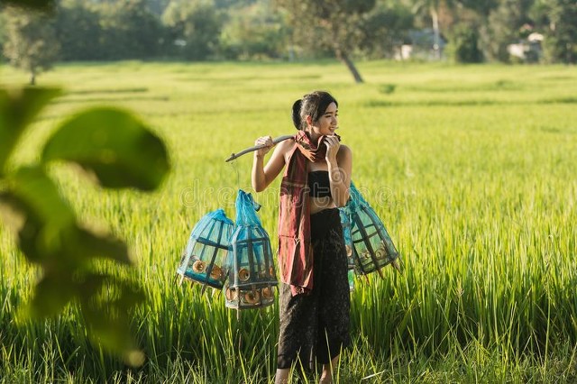 深度解析留守女人,农村留守女人的矛盾