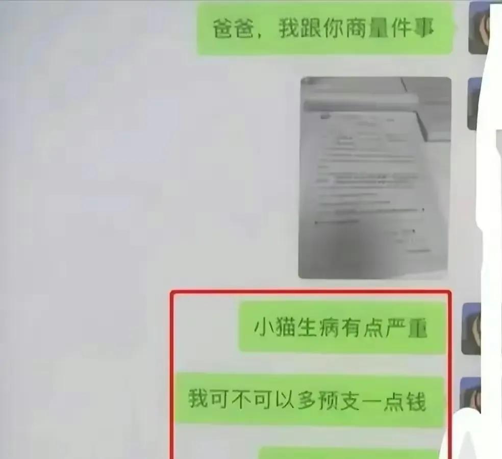 女大学生被有钱人养起来,女大学生被富商养三年