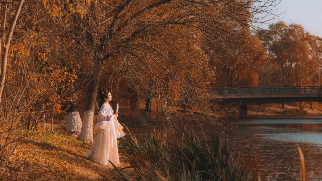 中国5000年来水平最高的20首古诗词,水平最高的中国古诗词40首高清版