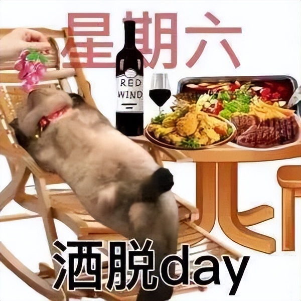 你们不用上班吗表情包猫猫图片,周一到周日的表情包猫猫