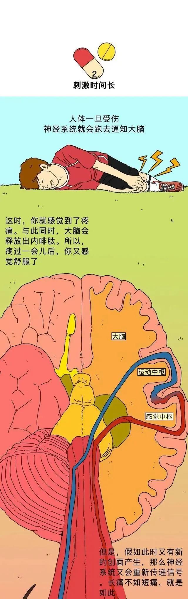 童年噩梦——“屁股针”，为啥那么痛？「漫画揭秘