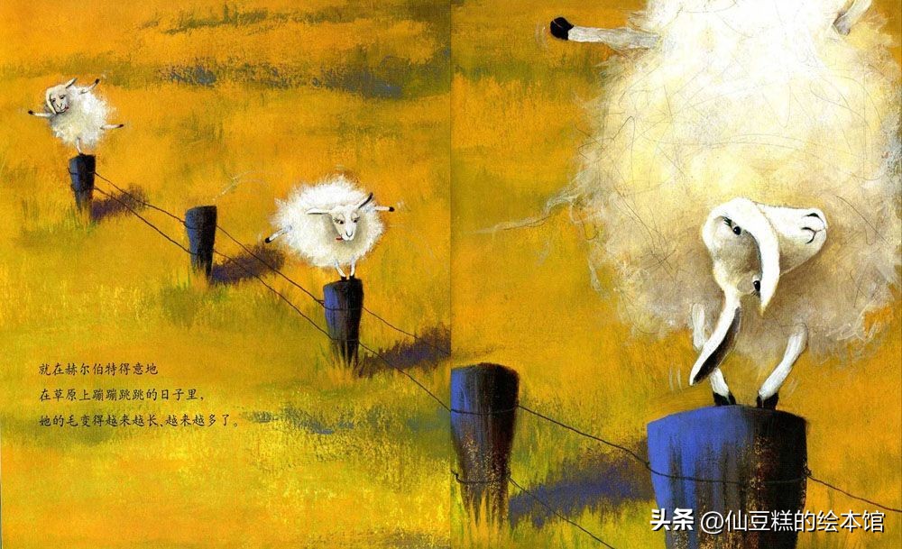 绘本精读讲解完整版,绘本精读课全部