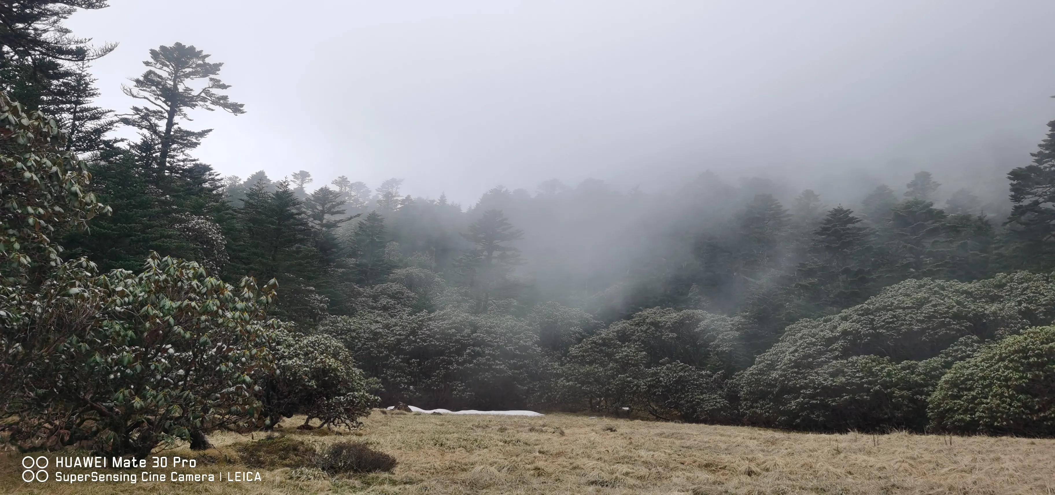 中国百慕大黑竹沟了解一下,中国百慕大黑竹沟近期气温