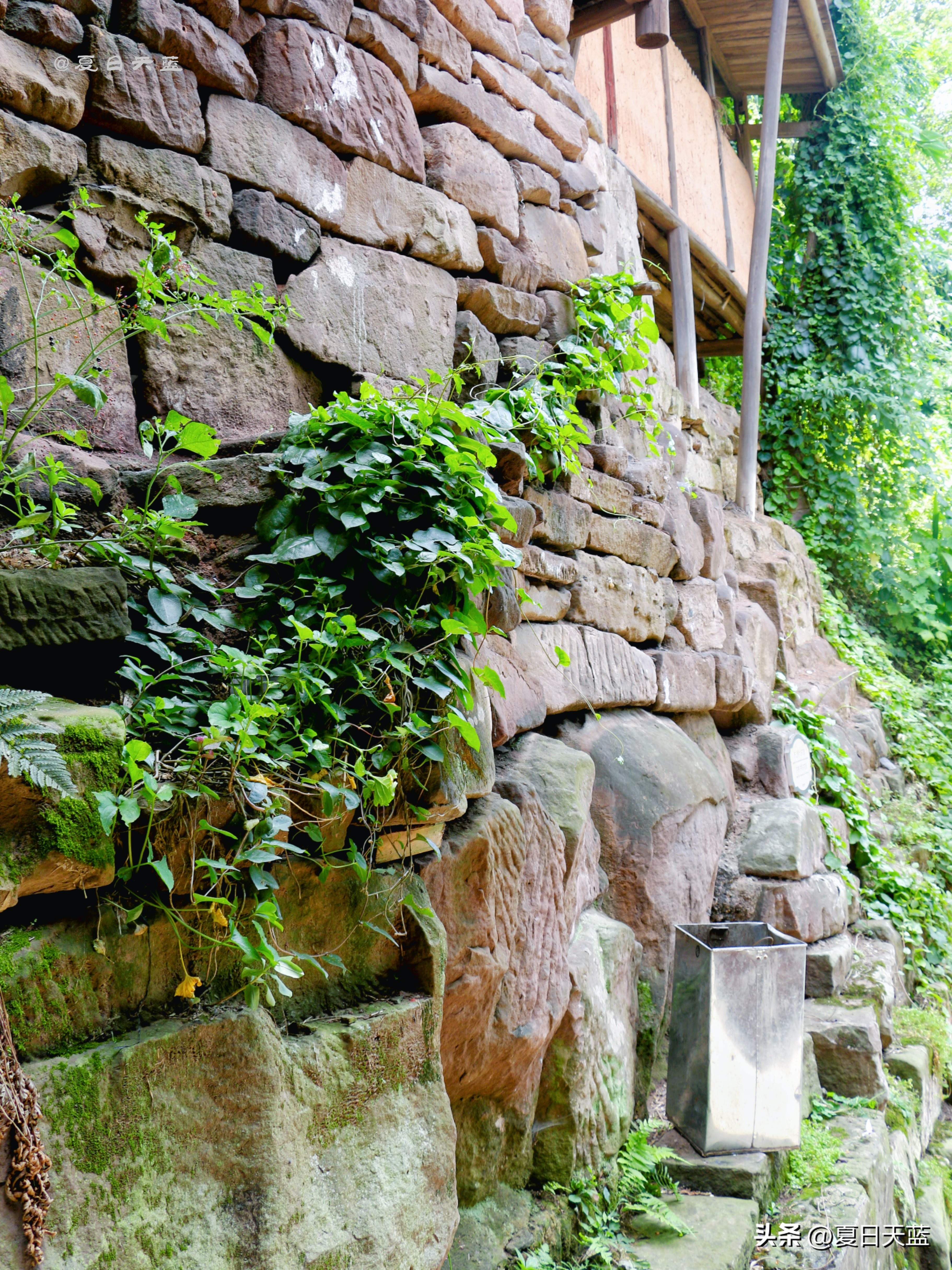 最新贵州赤水旅游攻略图,赤水市丙安古镇怎么游览