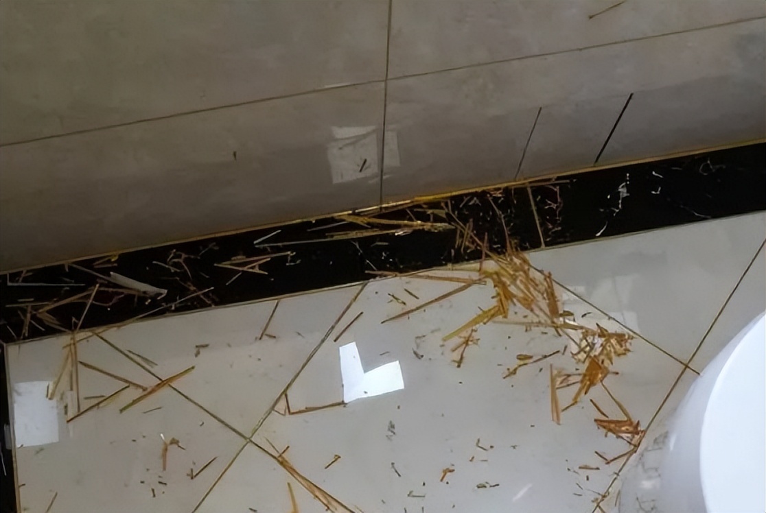 美缝反白是什么问题,美缝常见质量问题