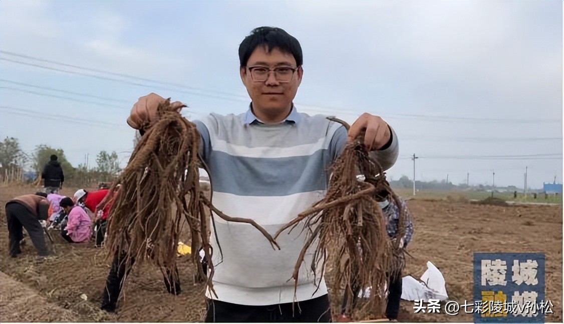 陵城区临齐街道：“共富工坊”架起村民家门口的“致富桥”