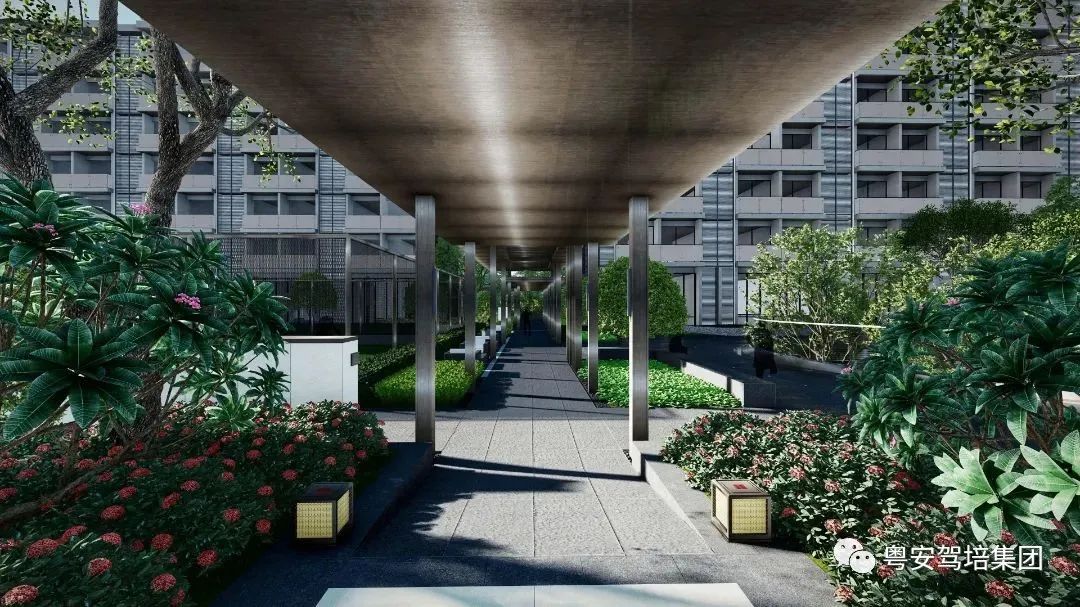 粤安驾校南沙横沥,粤安驾校荔湾