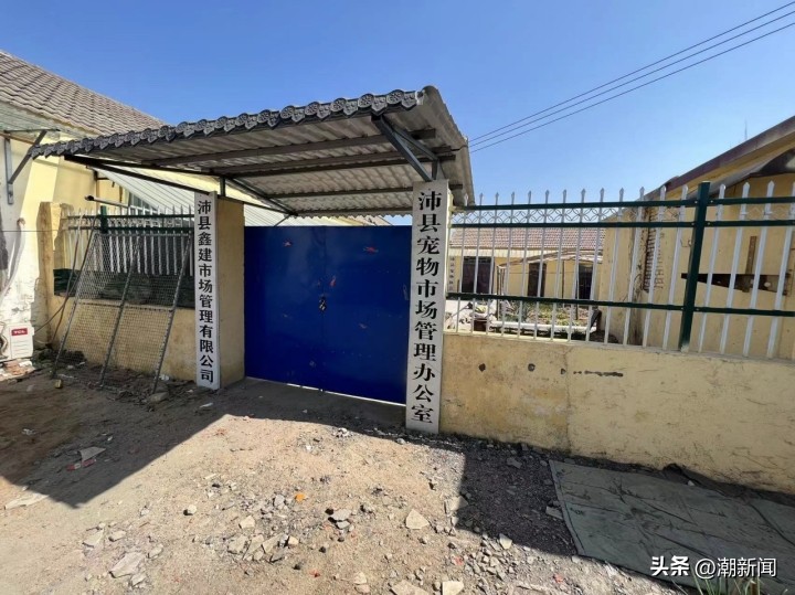 宠物线上代购主播的一出“好戏”背后圈套：谁演得好谁就赚得多