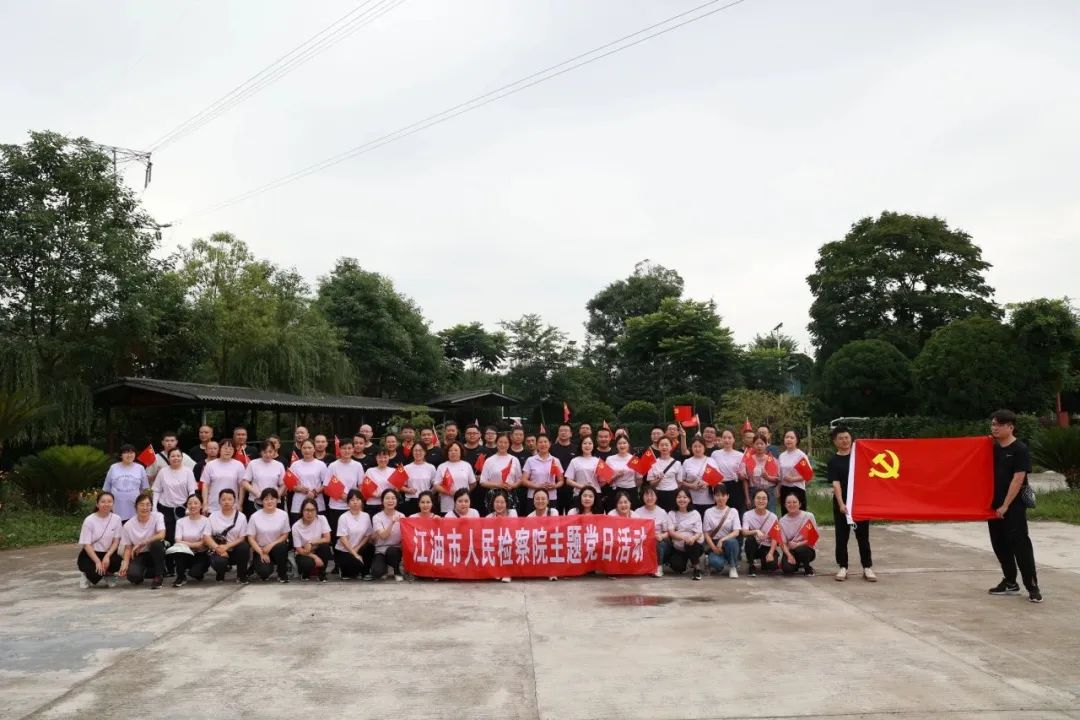 开展七一主题党日活动方案,迎七一主题党日活动的美篇