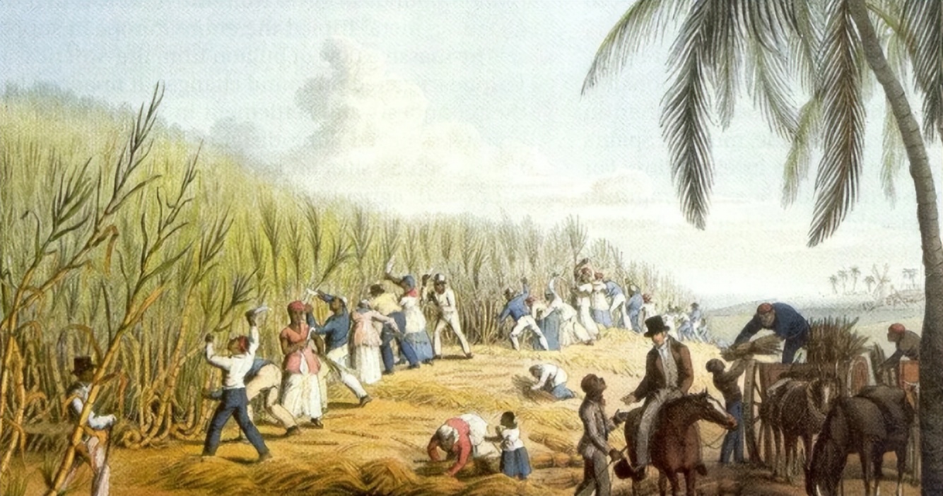 苏里南殖民统治,苏里南纽约