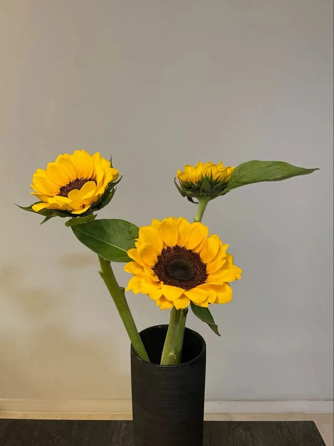 新手必看鲜花养护攻略,鲜花在水里能养几天会死