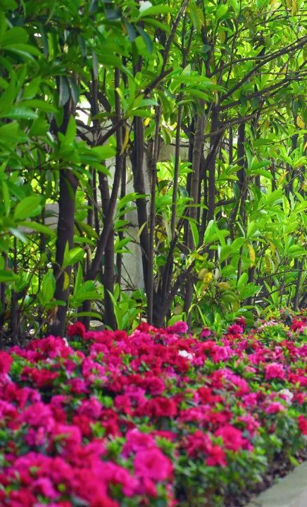 全国生态环境日主题,全国生态日绿水青山就是金山银山