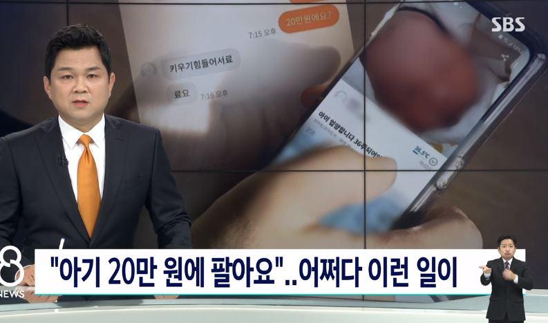 韩网标价售卖婴儿、女性、残疾人！发布22万个儿童色情视频无人管