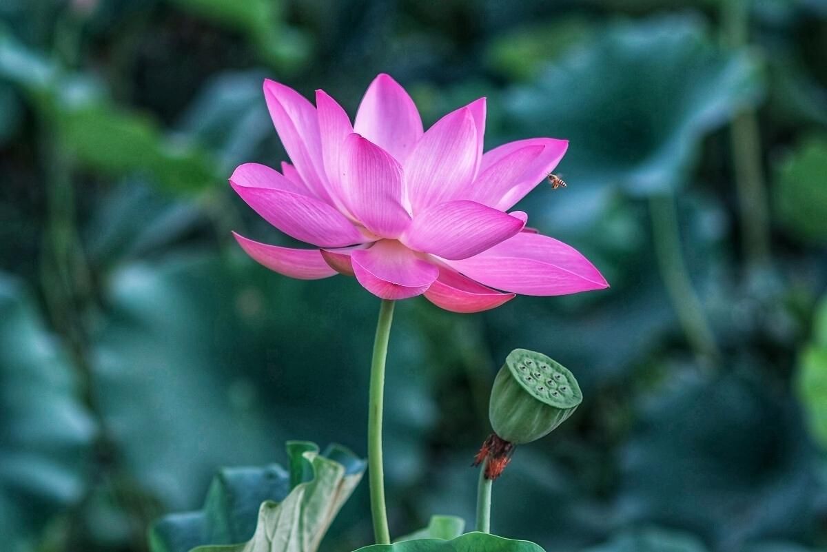 致2023年的自己的一段话励志,2023下半年写给自己的话