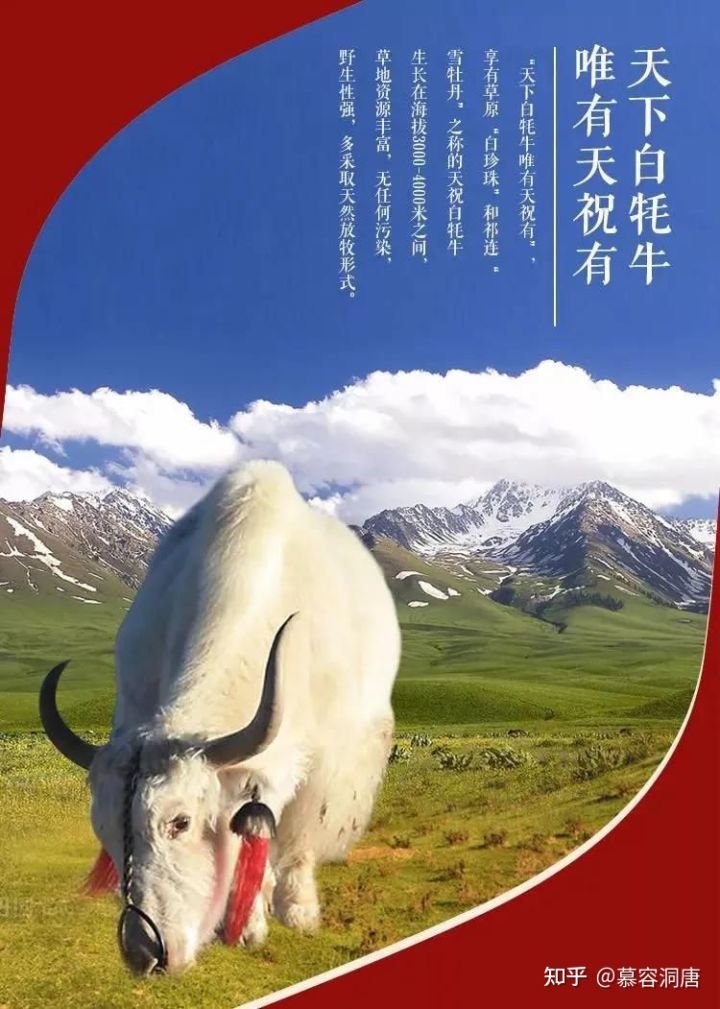 武威五朝古都被历史承认吗,武威是哪六朝古都