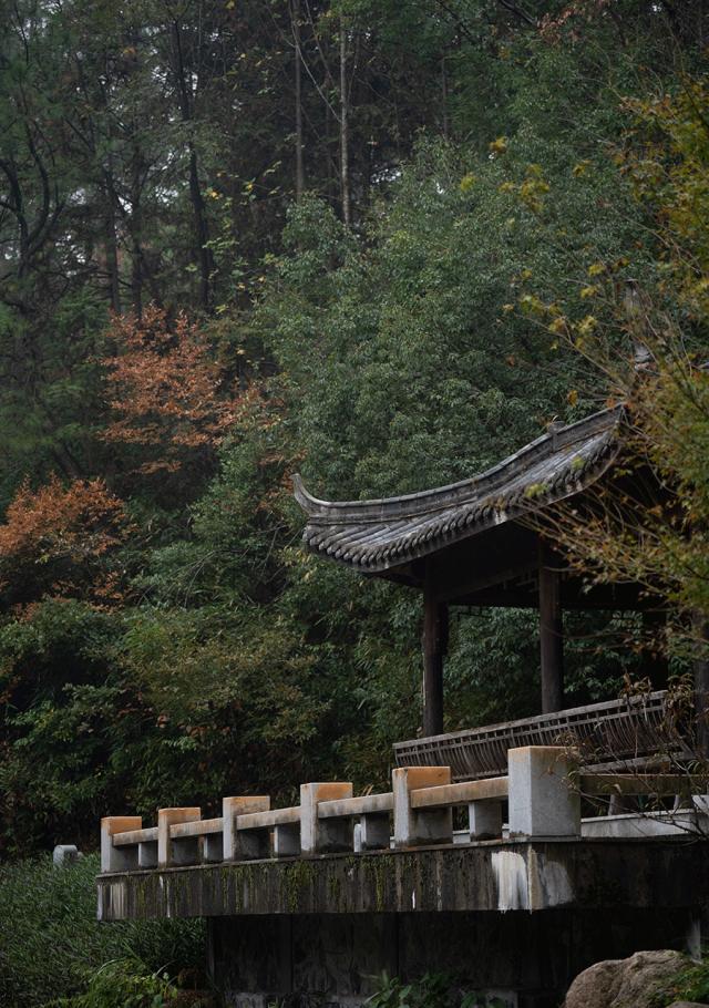 没有谁天生要强下一句,没有谁天生强势完整版