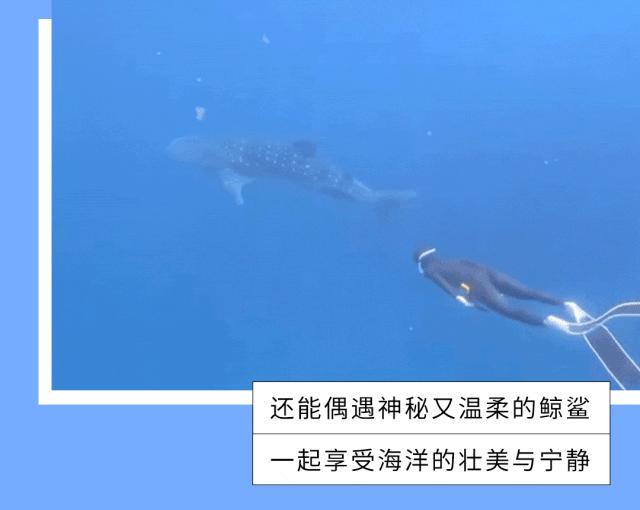 富力海南项目哪个好,富力在海南的楼盘