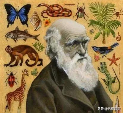 走进厄瓜多尔,怪异之旅探秘神秘的厄瓜多尔