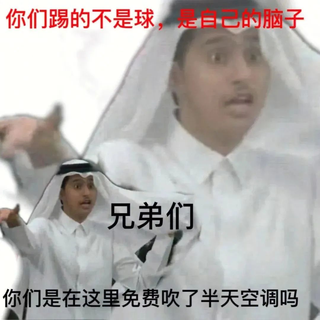 卡塔尔15岁小王子表情包,卡塔尔小王子气出表情包原视频