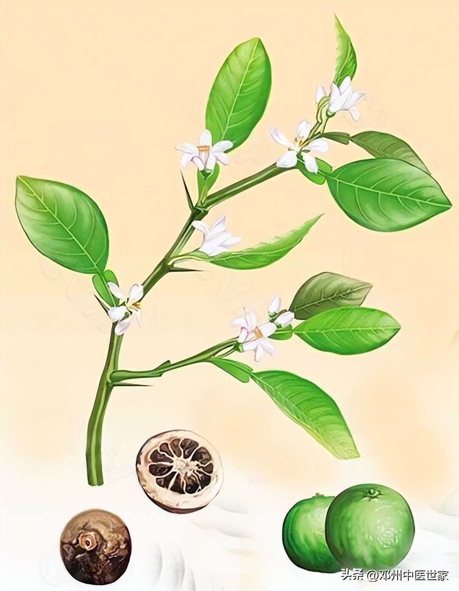 口苦口臭爱放屁的原因和治疗方法,口臭不知道是什么原因怎么治疗