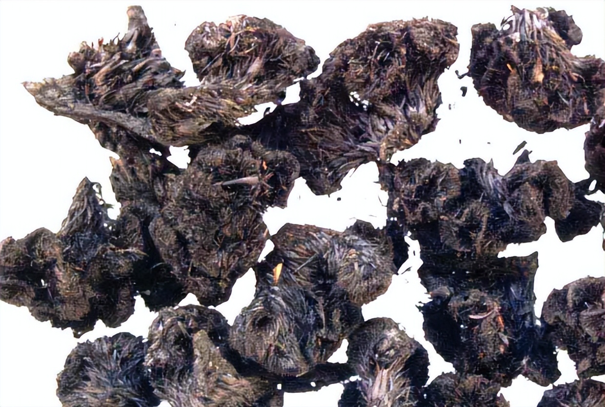 带你识别厚朴,带你识别柴胡