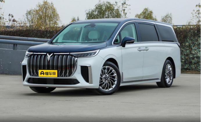 岚图梦想家mpv混动版缺点,岚图梦想家ev2024款自动驾驶