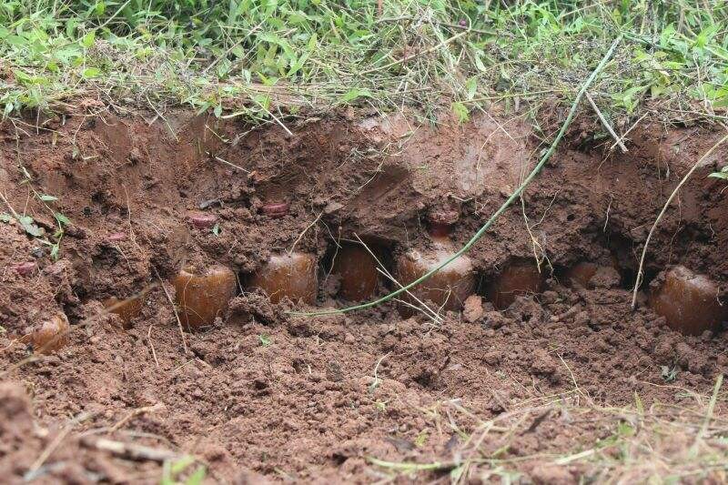 埋土藏酒的正确方法,什么样的土质埋酒最好