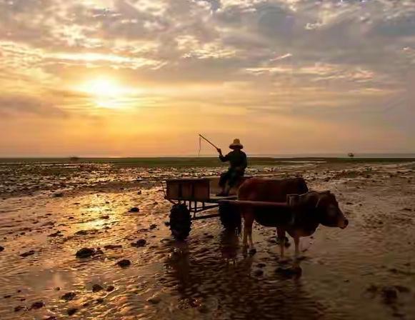 南极村中国大陆最南端远不远,中国大陆南极村值得去吗