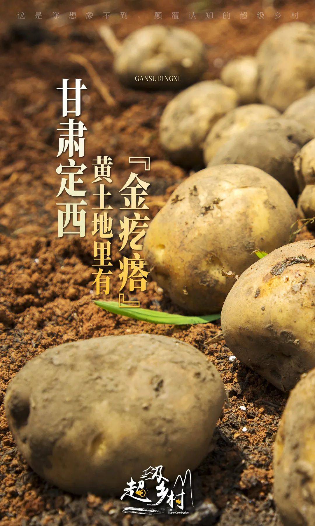 甘肃定西薯都,中国薯都