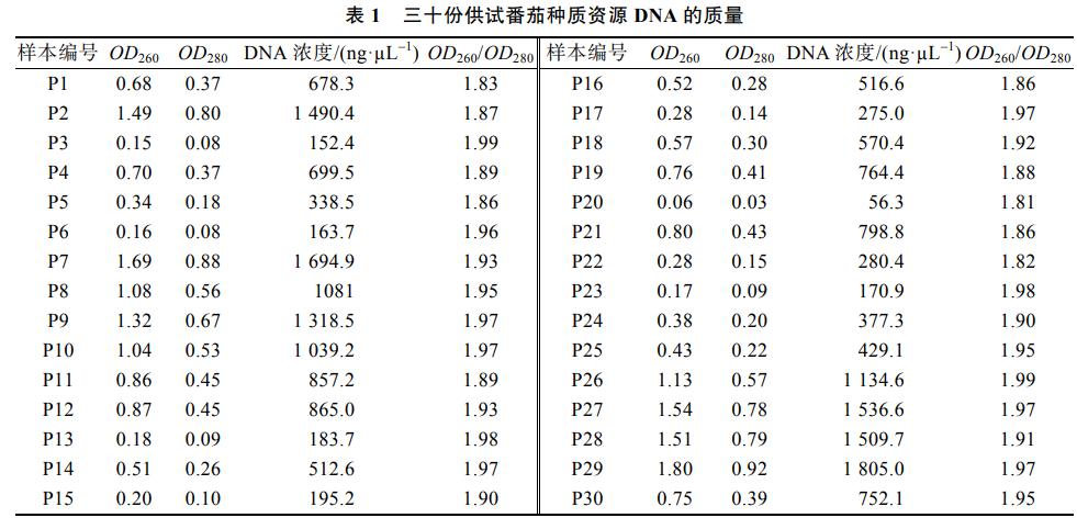 番茄果色偏黄怎么回事,番茄果实色泽评价