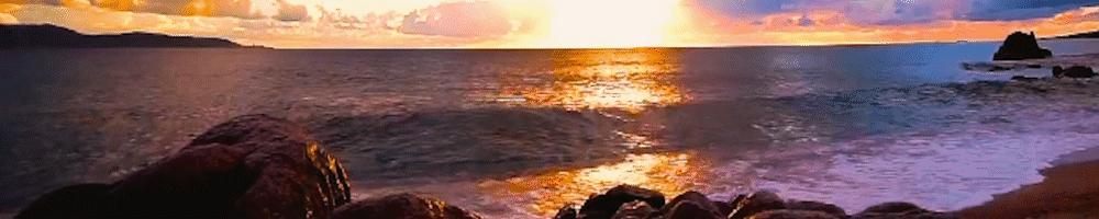 10岁全裸出镜，20岁声称自己仍是处女，“美国舒淇”的裸照风波